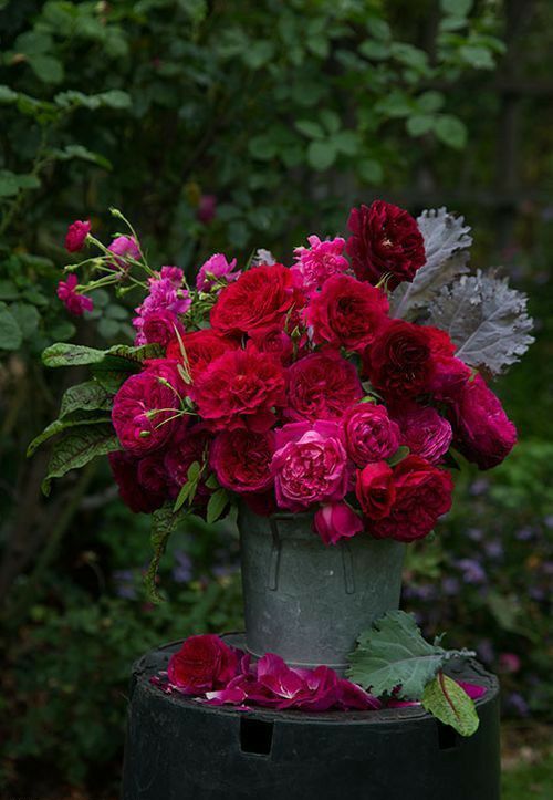 a jewel tone wedding centerpiece of burgundy, deep red and hot pink blooms, greenery and pale leaves is wow