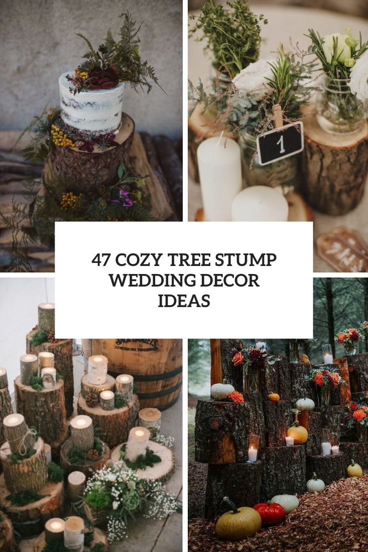 47 Cozy Tree Stump Wedding Decor Ideas