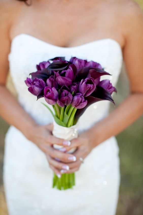 a purple tulip and deep purple calla wedding bouquet with a wrap and buttons is a lovely and bold idea for a summer wedding