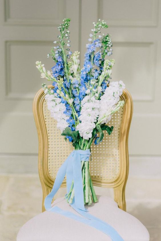 a bold blue and white delphinium long stem wedding bouquet with long blue ribbon is perfect for your 'something blue'