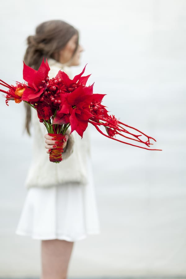 a bold red wedding bouquet with berries and poinsettias plus some twigs and a red wrap is a lovely idea for winter