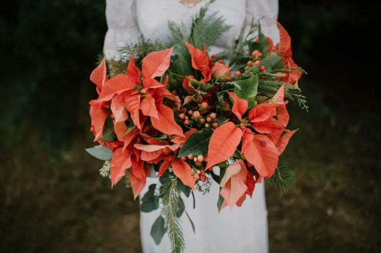 a bold winter wedding bouquet of evergreens, foliage, berries and poinsettias is a lovely idea for a Christmas or winter bride