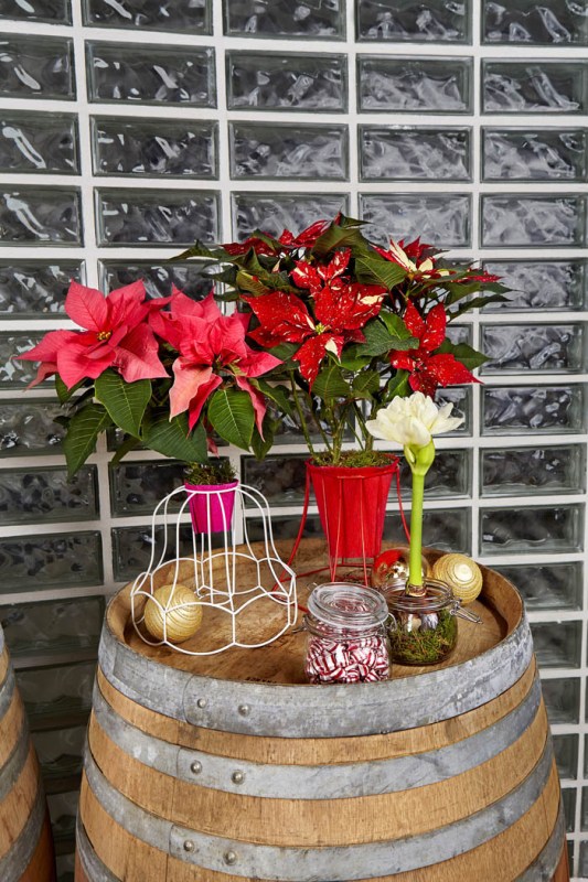 a barrel wedding prop with lampshade wires and bold poinsettias, some jars with candles and ornaments is cool