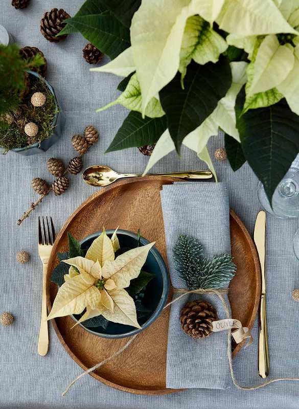 a beautiful Christmas wedding tablescape with grey linens, a wooden charger, dark porcelain, pinecones and greenery and poinsettias