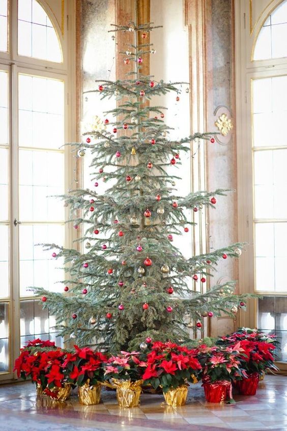 a Christmas tree decorated with pink, gold and red ornaments and surrounded with pink and red poinsettias in pots