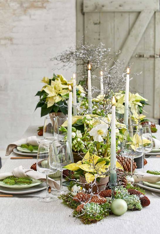 a lovely winter wedding tablescape with neutral linens, poinsettias, white blooms, evergreens, succulents and pinecones, tall and thin candles and evergreens