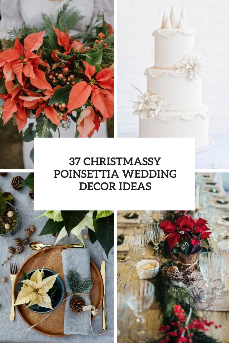 37 Christmassy Poinsettia Wedding Decor Ideas