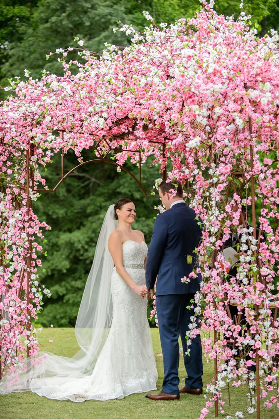 a pink cherry blossom wedding chuppah is an amazing idea and a touch of color to the space