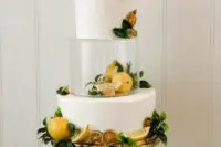 a creative round wedding cake with a clear acrylic separator, some leons and lime inside it and on the outside of the cake