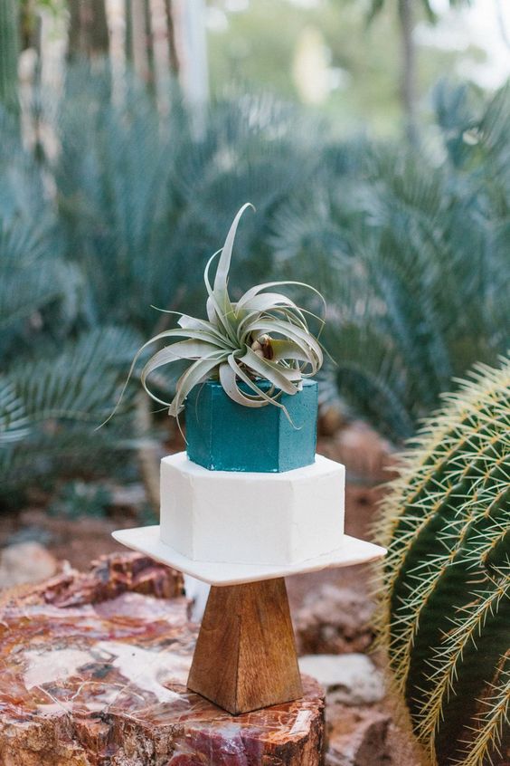 a catchy geometric wedding cake with a teal and white hexagon tier and an air plant on top for a mid-century modern or boho wedding