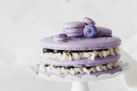 a lilac macaron wedding cake with vanilla cream, macarons on top and some fresh blueberries is cool