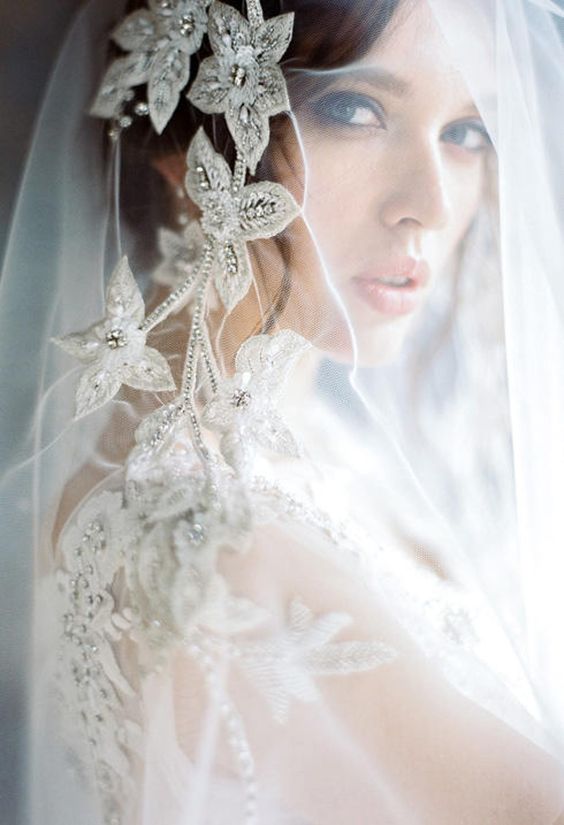 a sheer veil adorned with silver flower applique and crystals is a very sophisticated and beautiful idea