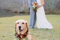 02 a beautiful bright flower collar with burgundy, orange blooms and eucalyptus that matches the bouquet looks awesome on the doggo