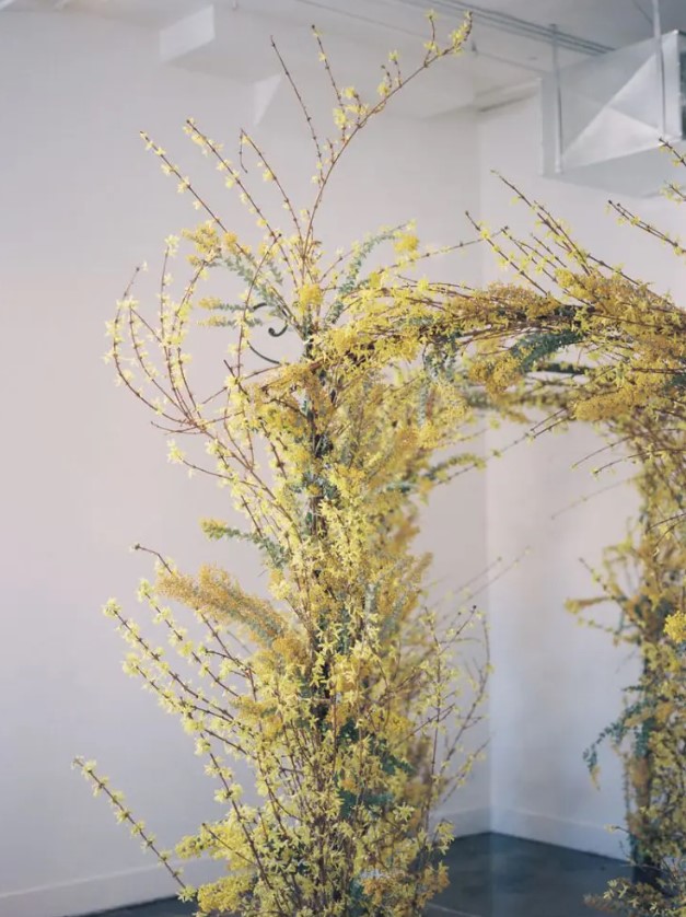 a bold and statement-like yellow overgrown wedding arch completely covered with yellow blooming branches is ideal for spring, summer or fall