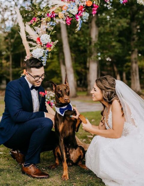 an elegant navy and white collar is a lovely accessory for styling your pup for a wedding