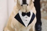 12 a classic black and white tuxedo bandana is a lovely idea for a modern wedding, it won’t prevent your dog from feeling comfortable