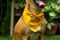 17 a refined and elegant yellow printed bandana with buttons and a bow tie is a beautiful accessory for your wedding