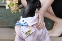 24 a blush checked suit with a white shirt, black buttons and a delicate blue bow tie is a gorgeous look for your doggo if you are having a pastel wedding