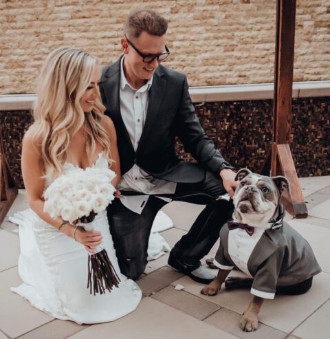 a chic grey suit with pearl buttons and a deep purple bow tie will make your pup look amazingly stylish