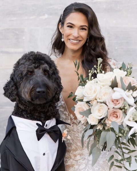 a classic black and white dog tuxedo with black buttons and a bow tie is a lovely idea for your beloved pet