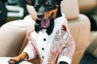 28 a fab pink sequin suit, a white shirt with black buttons and a black bow tie compose a super chic doggo outfit for a wedding