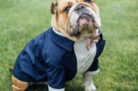 31 a super elegant navy suit with a white shirt, pearl buttons and a pink bow tie makes the pup look even more gorgeous than he is