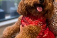 38 a bold wedding doggo look with a beautiful red and gold kimono with buttons is a fantastic idea for a wedding