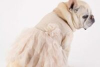 39 a delicate blush dress with a ruffle tulle skirt is a great way to style your beloved pet for your wedding