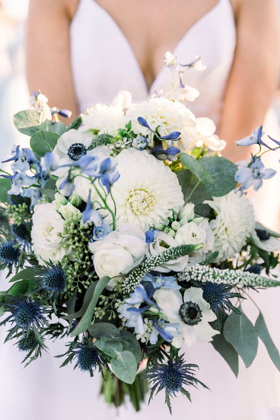 a beautiful wedding bouquet of white dahlias, blue blooms including anemones, blue thistles and foliage