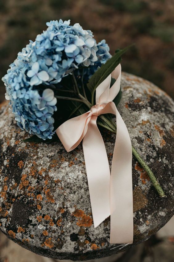 a blue hydrangea mono wedding bouquet with a blush ribbon bow is a catchy and lovely idea for spring or summer