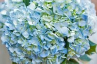 a blue hydrangea wedding bouquet with greenery is a stylish idea for spring or summer, it looks pretty and cool
