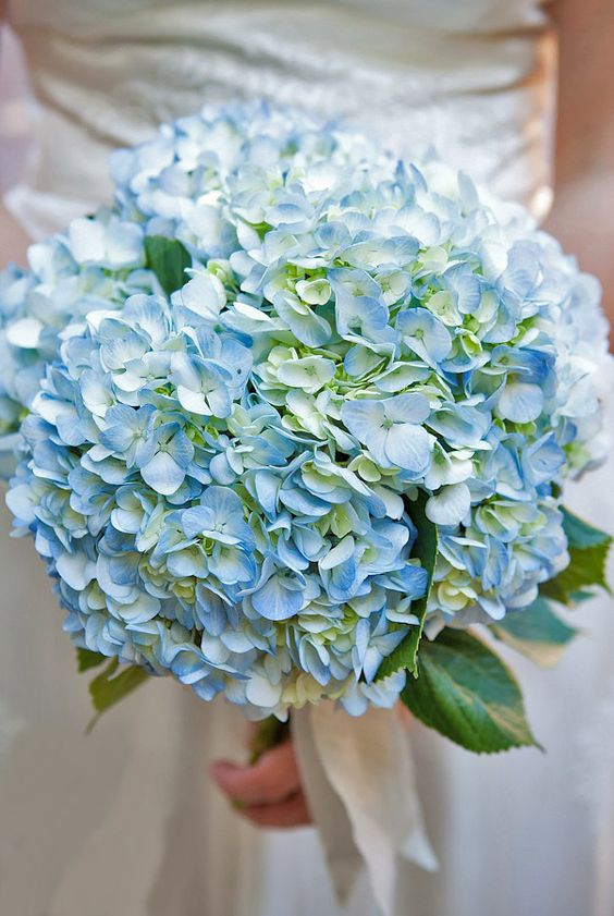 a blue hydrangea wedding bouquet with greenery is a stylish idea for spring or summer, it looks pretty and cool