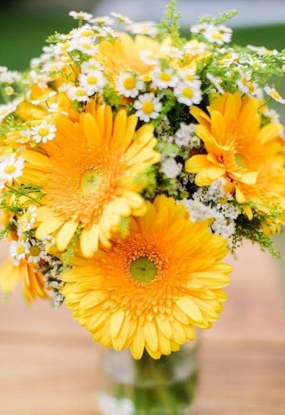 a bright wedding bouquet of chamomiles, yellow gerberas and some smaller fillers is a catchy idea for spring and summer