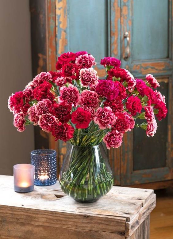 a bright wedding centerpiece of a clear vase with pink and red carnations is a lovely idea for a colorful wedding