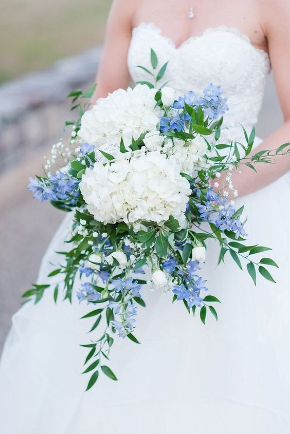 a cascading wedding bouquet of white hydrangeas, baby's breath and blue blooms and greenery for spring or summer