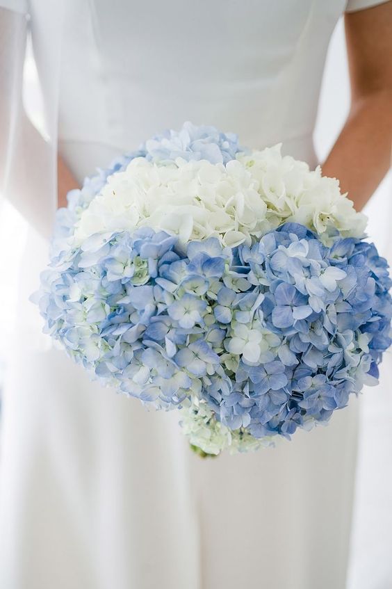 a classic blue and white hydrangea wedding bouquet is a great idea for a rustic wedding, it looks cool and lovely