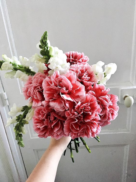 a cool and simple wedding bouquet of pink carnations and white blooms is a lovely idea for a spring or summer bride