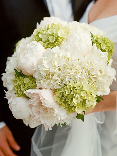 a green and white hydrangea plus blush peonies wedding bouquet is a gorgeous idea for spring or summer