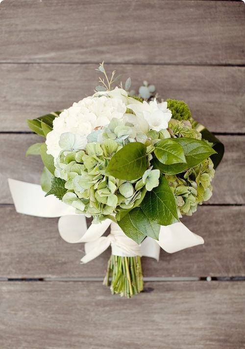 a simple and cute wedding bouquet of green and white hydrangeas, some leaves and ribbons is a cool idea for spring and summer