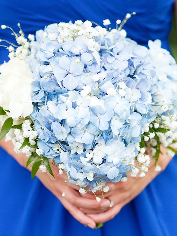 a simple and stylish wedding bouquet of blue hydrangeas, white roses and baby's breath is a cool idea for spring or summer