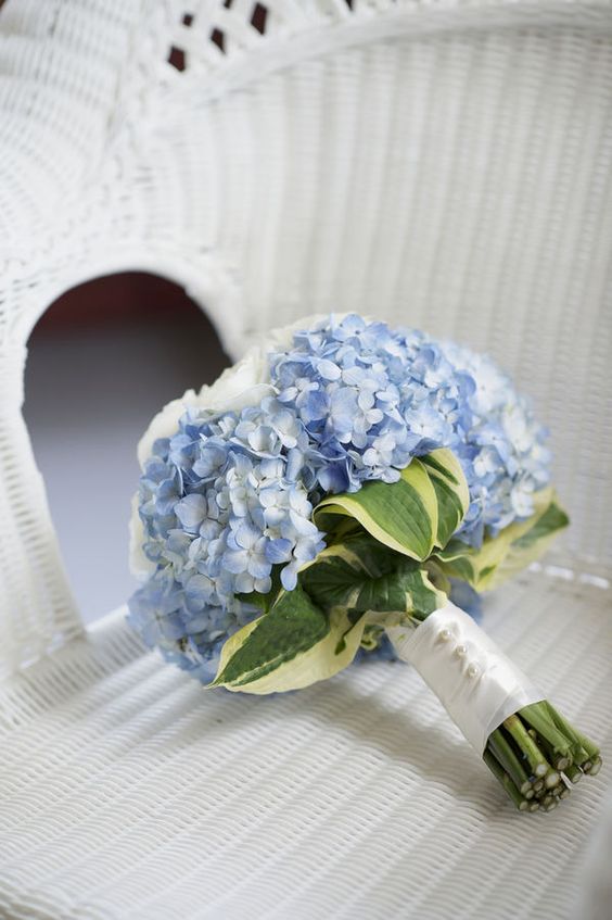 a wedding bouquet of blue hydrangeas and white roses and some leaves is a lovely solution for your something blue