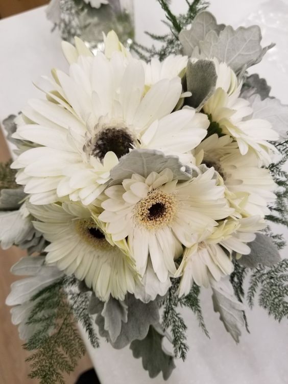 a white gerbera and pale miller wedding bouquet is a stylish and dreamy idea for a bride who wants a neutral bouquet