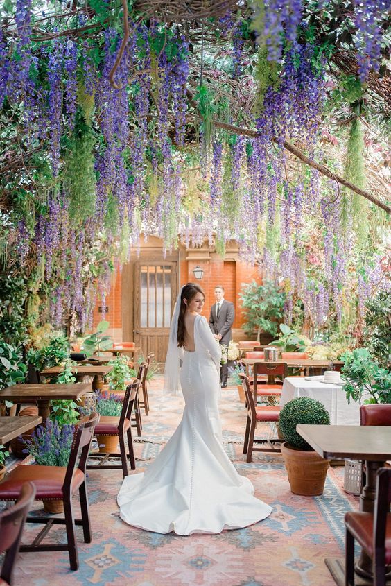 a beautiful and dreamy wedding reception space with wisteria naturally gorwing over it and lots of greenery and lavender around