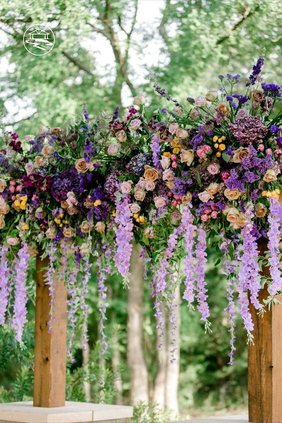 a colorful wedding arch with wsiteria, pink and yellow gardne roses, burgundy and violet blooms and greenery for a bright wedding