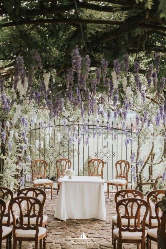 a dreamy wedding ceremony space with wisteria all around, with vintage chairs and greenery over the space is a lovely idea