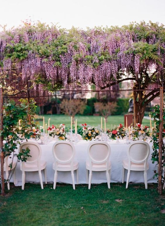 a beautiful and exquisite wedding reception space with wisteria and greenery over the space and bold blooms on the table plus candles