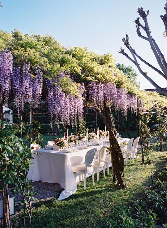 a chic and lovely wedding reception space with wisteria hanging over the table and some bright blooms right on the table