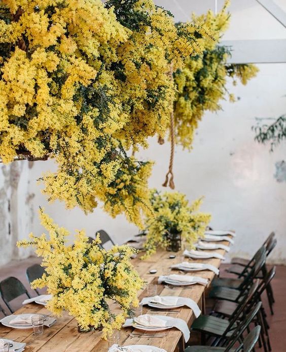 a fantastic wedding reception space with a lush mimosa wedding installation and matching arrangements on the table