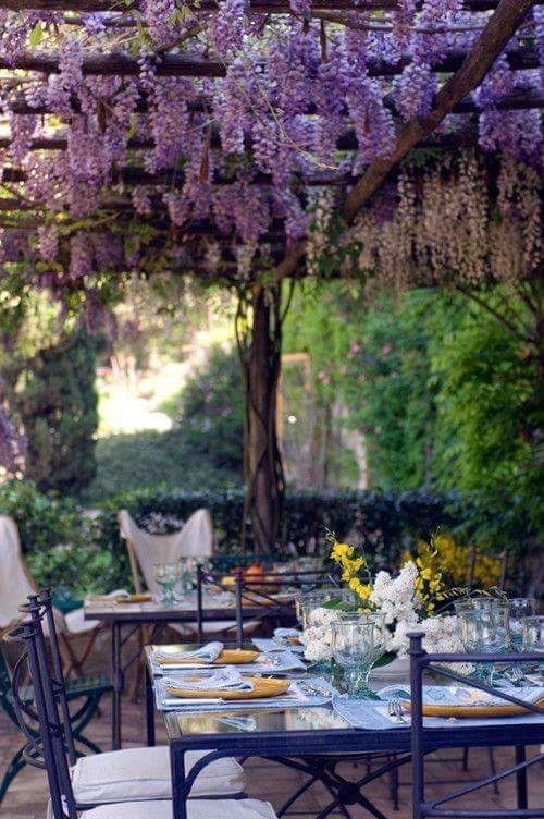 a lovely wedding reception space with glass tables and neutral chairs, wisteria over the space and some blooms on the table