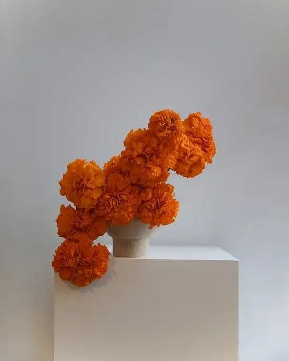 An ultra modern wedding centerpiece compsoed of orange marigolds and a porcelain vase only, with blooms in a catchy shape